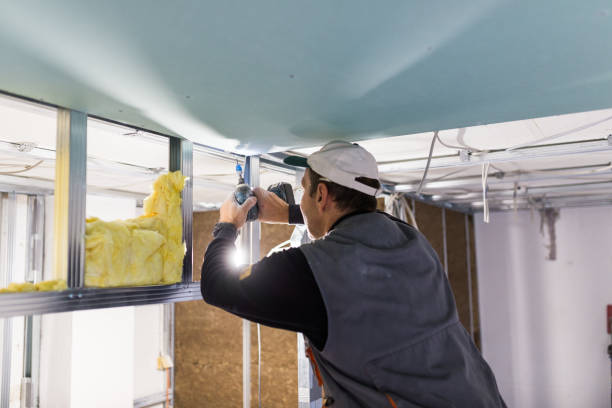 Best DIY Insulation Kits and Guidance in Conneaut, OH